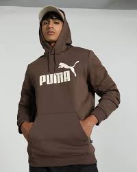 Puma Hoodies Boost Focus, Power & Confidence 10 Powerful Reasons